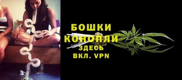 стаф Каменск-Шахтинский