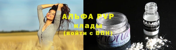 дмт Карпинск