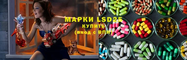 молекула духа Каменногорск