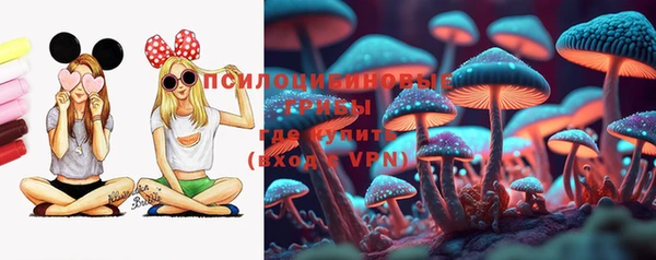 стаф Каменск-Шахтинский
